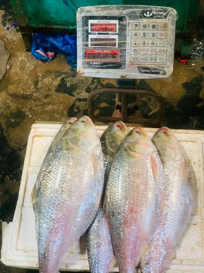 WhatsApp Image 2026-04-18 at 12.37.57 PM