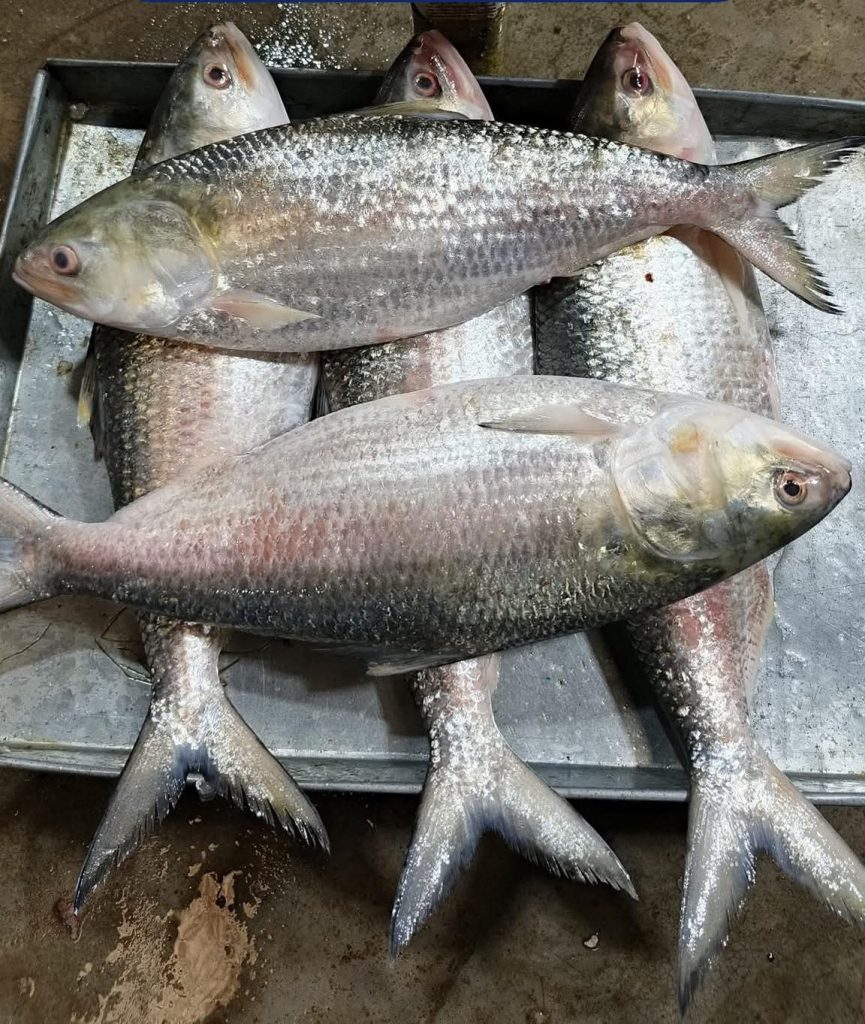 WhatsApp Image 2026-04-18 at 12.40.54 PM