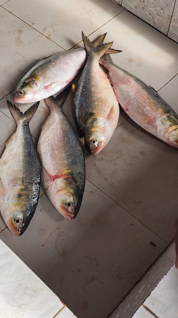 WhatsApp Image 2026-04-18 at 12.41.28 PM