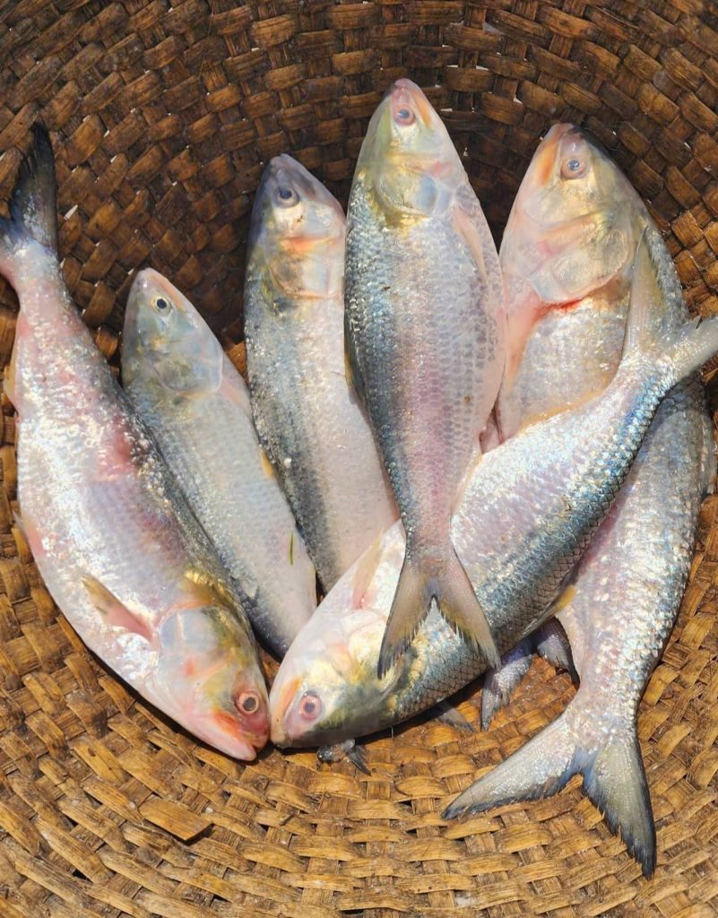 WhatsApp Image 2026-04-18 at 12.41.54 PM