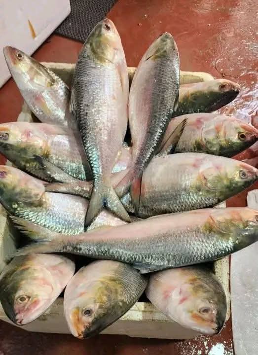 WhatsApp Image 2026-04-18 at 12.42.14 PM