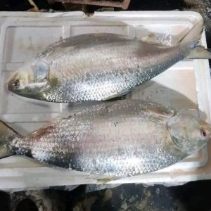 ২ পিস ৫ কেজি