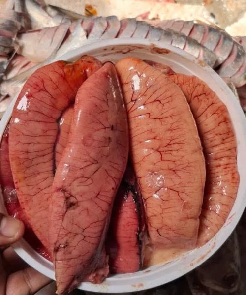 WhatsApp Image 2026-04-17 at 10.47.38 PM