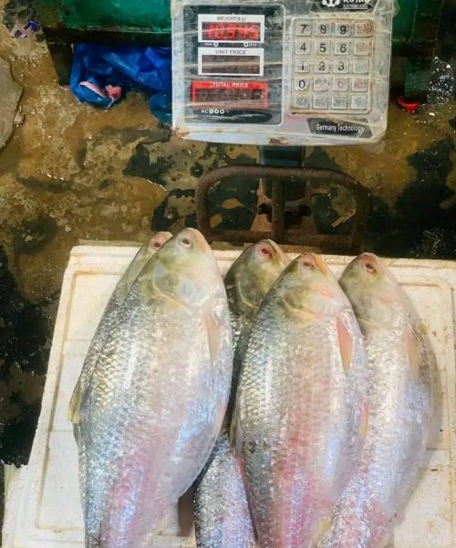 WhatsApp Image 2026-04-18 at 12.37.57 PM