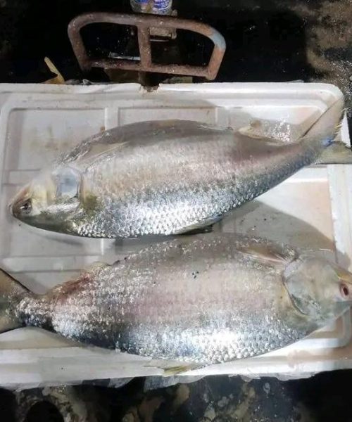 WhatsApp Image 2026-04-18 at 12.40.29 PM